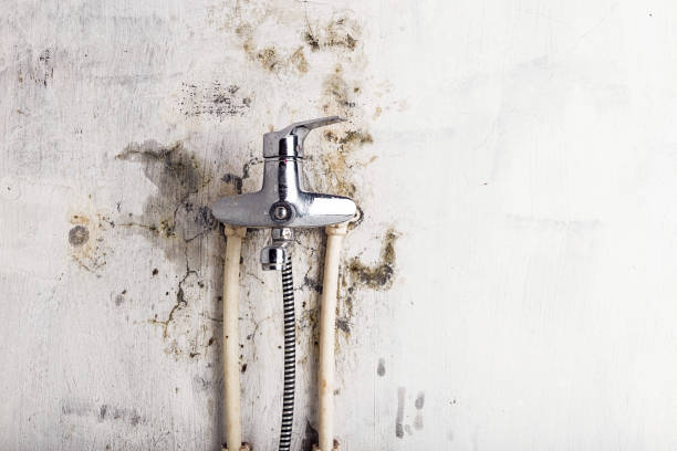  Sherwood Manor, CT Mold Removal Pros
