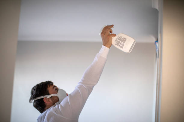 Best Professional Mold Removal  in Sherwood Manor, CT