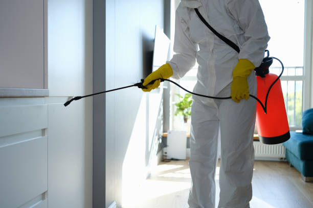 Office Mold Removal Services in Sherwood Manor, CT