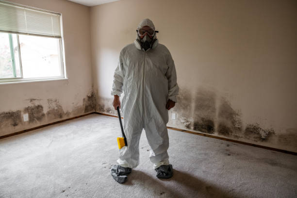 Best Mold Testing  in Sherwood Manor, CT